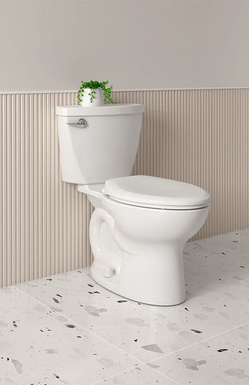 TOILETS and TOILET SEATS