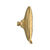 [9038074.GN0] Spectra Fixed 7-Inch 1.8 gpm/6.8 L/min Fixed Showerhead - Brushed Cool Sunrise