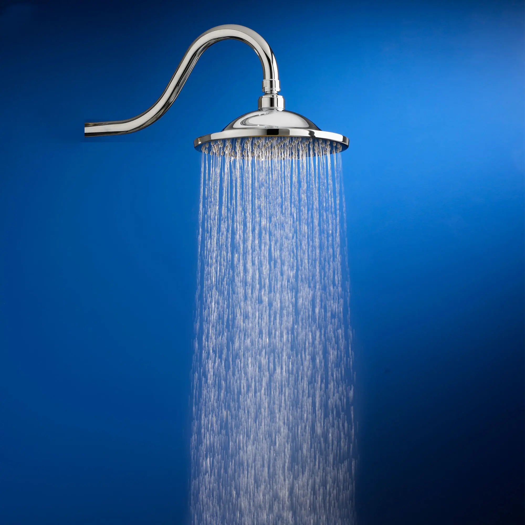 8-Inch 2.5 gpm/9.5 L/min Rain Showerhead // POLISHED CHROME // 166771_P-1660680002_04_0_CDNwebp.webp
