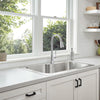 [7617300.002] Hillsdale Single-Handle Pull-Down Dual Spray Kitchen Faucet - Polished Chrome