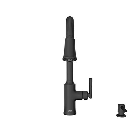 Raviv® Single-Handle Pull-Down Kitchen Faucet