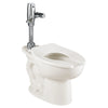 [2234511.020] Madera 15-Inch Toilet System With Touchless Selectronic® Piston Flush Valve, 1.1 gpf/4.2 Lpf - White