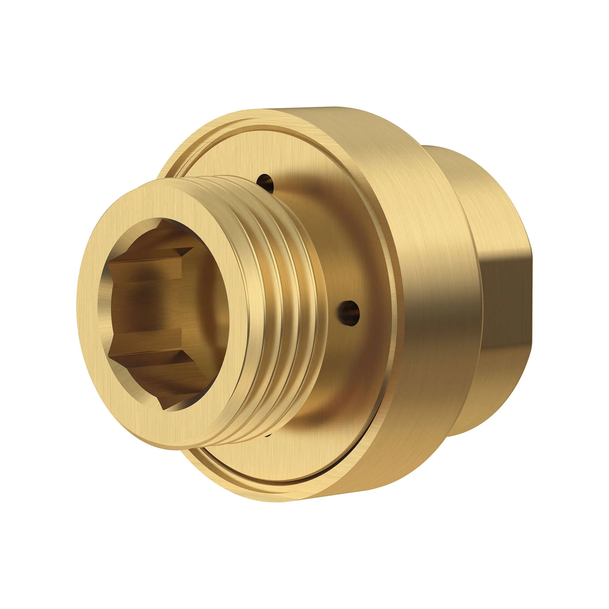 1/2-Inch NPT In-Line Vacuum Breaker // BRUSHED COOL SUNRISE // 168667_Parts_SiloLeft_1660400.GN0_0001_Mar2023_0_CDNwebp.webp