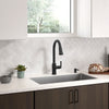 [7421300.243] Raviv® Single-Handle Pull-Down Kitchen Faucet - Matte Black