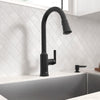[7421300.243] Raviv® Single-Handle Pull-Down Kitchen Faucet - Matte Black