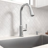 [7421300.075] Raviv® Single-Handle Pull-Down Kitchen Faucet - Stainless Steel