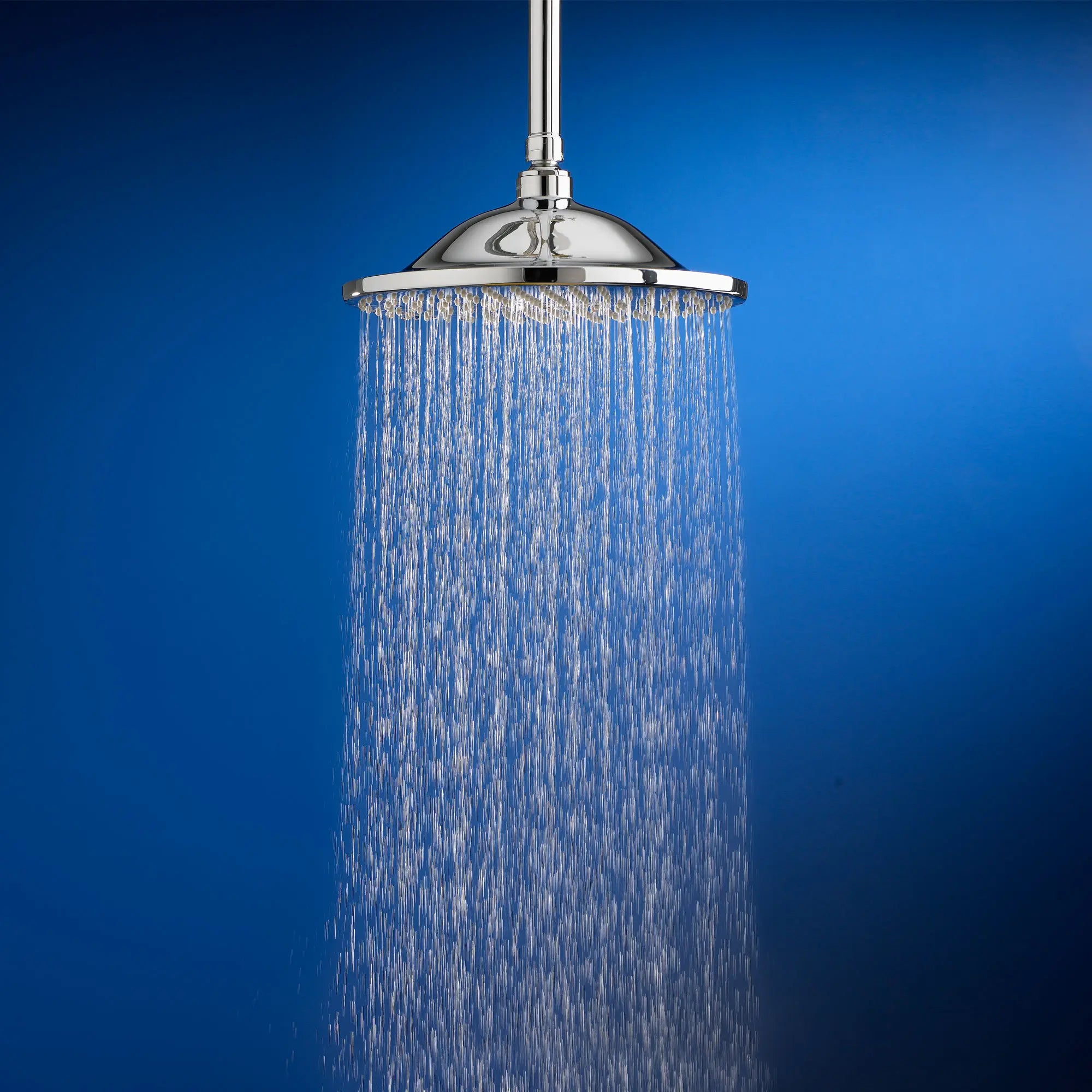 10-Inch 2.5 gpm/9.5 L/min Rain Showerhead // POLISHED CHROME // 170089_P-1660610002_02_0_CDNwebp.webp