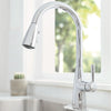 [7617300.002] Hillsdale Single-Handle Pull-Down Dual Spray Kitchen Faucet - Polished Chrome