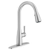 [7617300.075] Hillsdale Single-Handle Pull-Down Dual Spray Kitchen Faucet - Polished Chrome