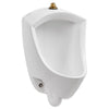 [6002505.020] Pintbrook® Urinal System With Touchless Selectronic® Piston Flush Valve, 0.5 gpf/1.9 Lpf - White