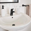 [7075100.243] Colony® PRO Single Hole Single-Handle Bathroom Faucet 1.2 gpm/4.5 L/min With Lever Handle - Matte Black