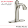 [7417101.295] Rumson® Single Hole Single-Handle Bathroom Faucet 1.2 gpm/4.5 L/min With Lever Handle - Brushed Nickel