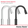 [7421300.002] Raviv® Single-Handle Pull-Down Kitchen Faucet - Polished Chrome