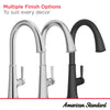 [9319310.002] Renate Single-Handle Pull-Down Dual Spray Kitchen Faucet 1.5 gpm/5.7 Lpm - Polished Chrome