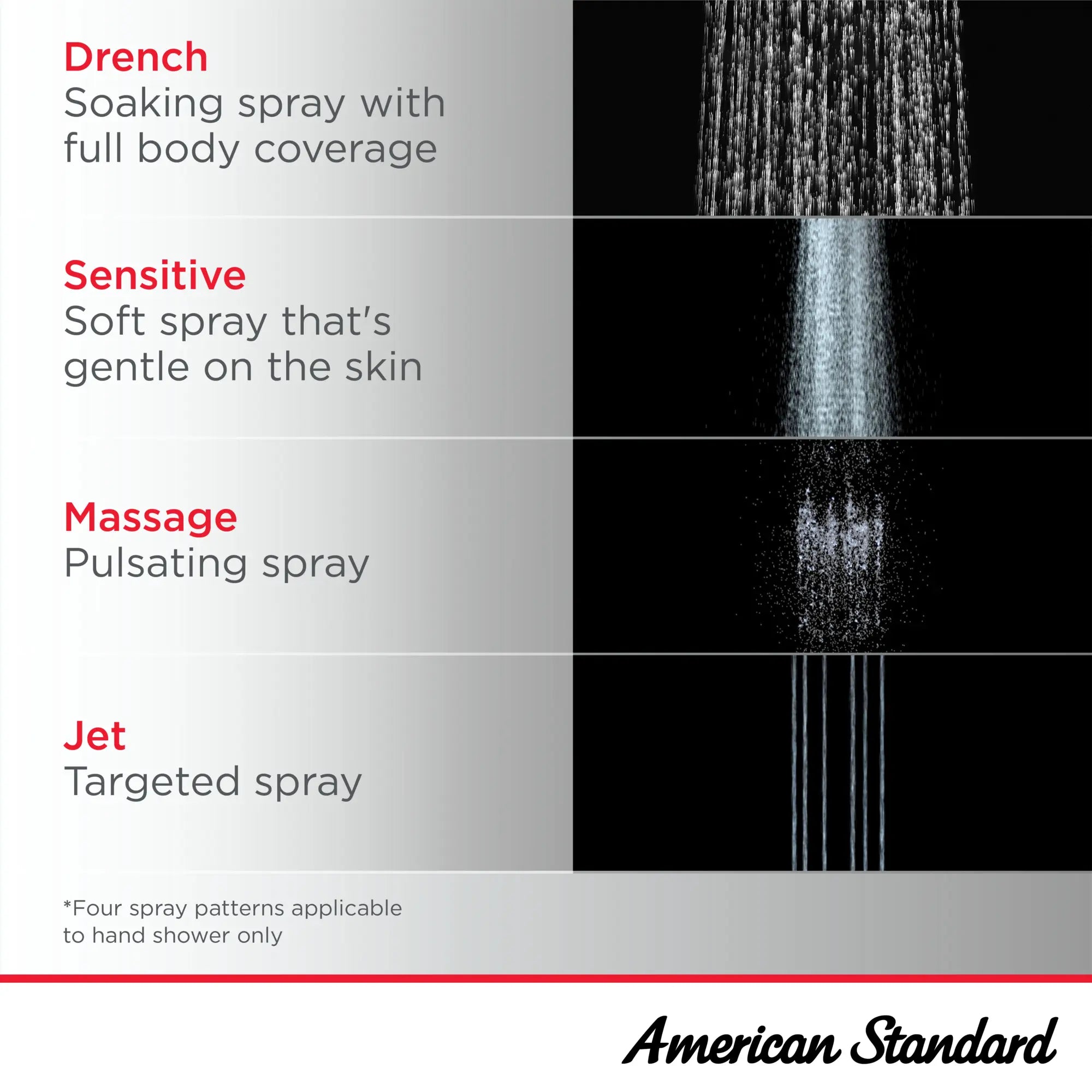 Spectra Versa® 36-Inch 4-Function 1.8 gpm/6.8 L/min Hand Shower Kit