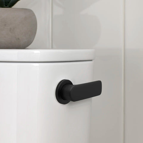 Right-Hand Trip Lever