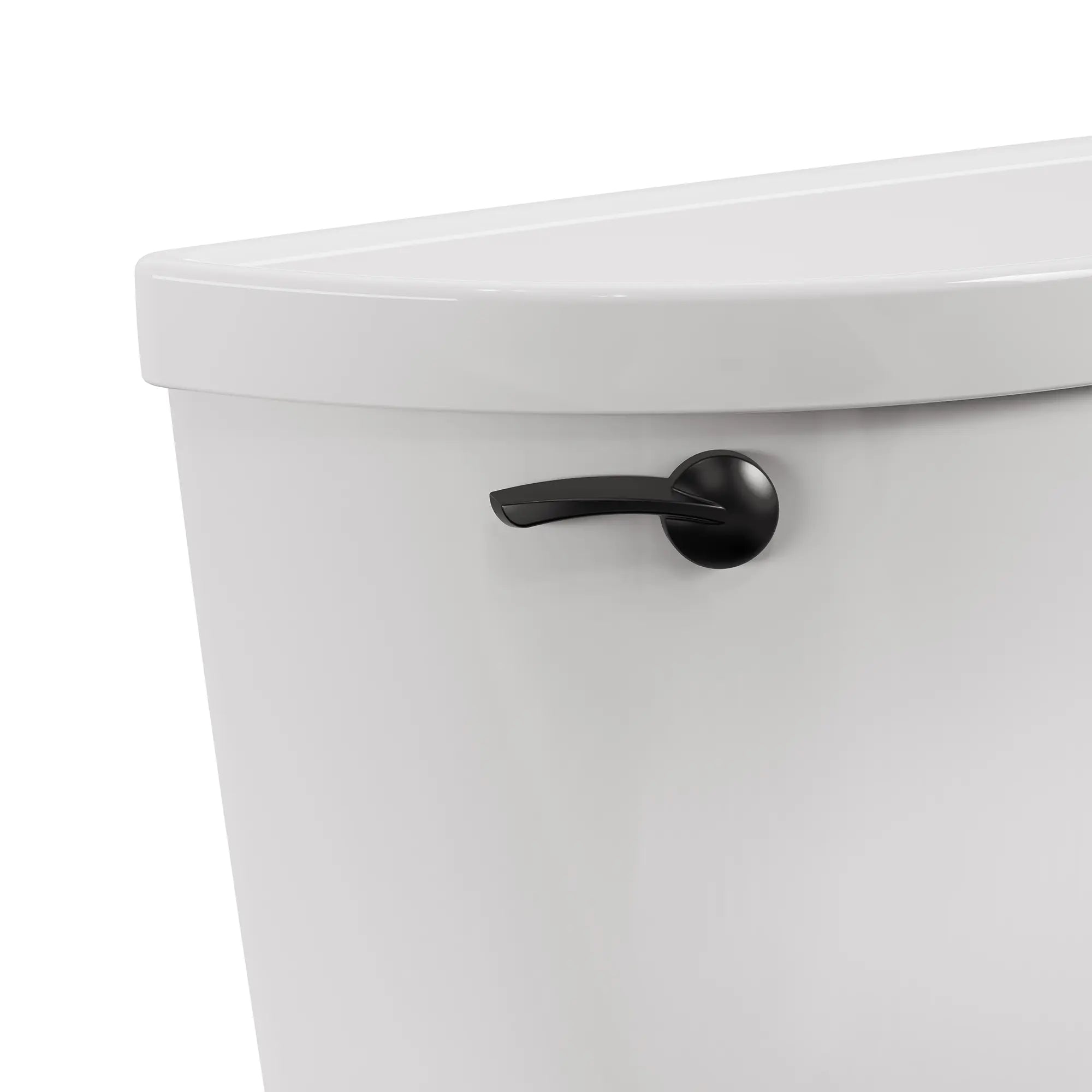 Left-Hand Trip Lever // MATTE BLACK // 244909_Champion_SiloClose_up_4225A104.020_0001_MAY2024_CDNwebp.webp