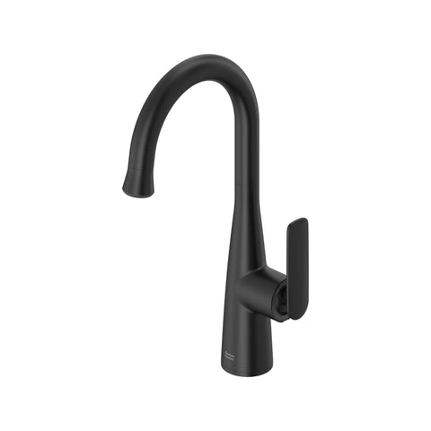 Aspirations Pull-Down Bar Faucet
