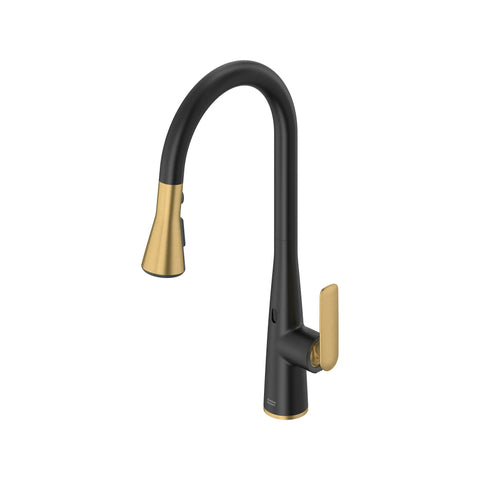 Aspirations Touchless Pull-Down Kitchen Faucet