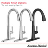 [9319300.243] Maven® Pull-Down Kitchen Faucet - Matte Black