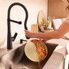 [1048822430] Aspirations Semi-Pro Kitchen Faucet  - Matte Black