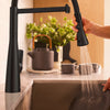 [1048822430] Aspirations Semi-Pro Kitchen Faucet  - Matte Black
