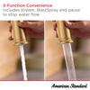 [117634GN00] Highgrove Single-Handle Pull-Down 3-Function Kitchen Faucet 1.8 gpm/6.8 L/min with Deck Plate  - Brushed Cool Sunrise