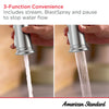 [117634GN00] Highgrove Single-Handle Pull-Down 3-Function Kitchen Faucet 1.8 gpm/6.8 L/min with Deck Plate  - Brushed Cool Sunrise