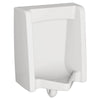 [6515001.020] Washbrook 0.125 -1.0 gpf (0.47 - 3.8 Lpf) Back Spud Urinal - White