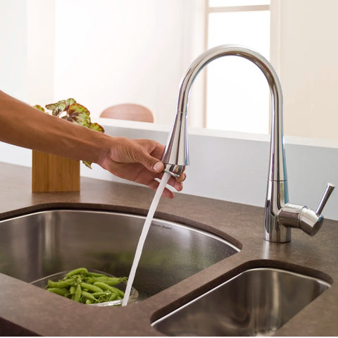 Pekoe Extender Kitchen Faucet