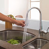 [4335020.002] Pekoe Extender Kitchen Faucet - N/A