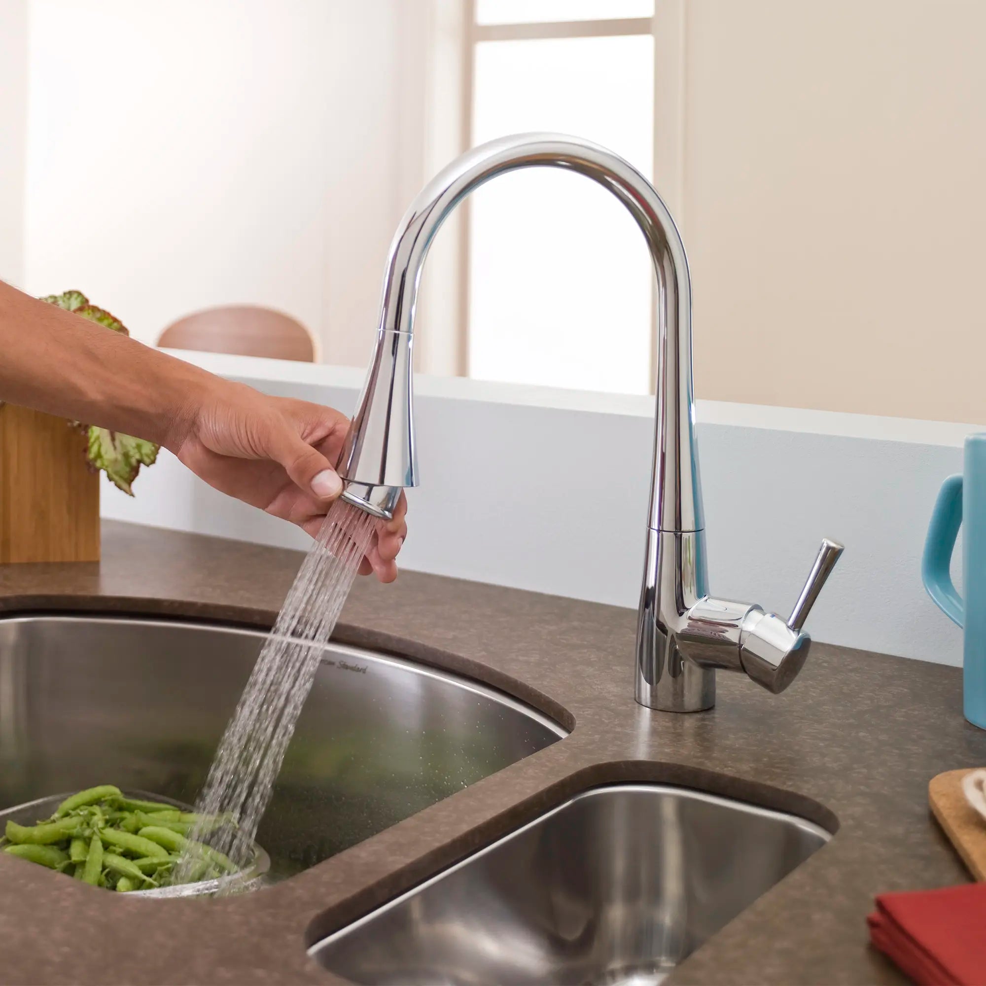 Pekoe Extender Kitchen Faucet // N/A // 32983_l_4335020002_3_0_CDNwebp.webp