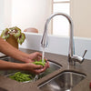 [4335020.002] Pekoe Extender Kitchen Faucet - N/A