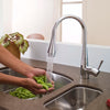 [4335020.002] Pekoe Extender Kitchen Faucet - N/A