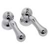 [012245-0020A] Handle and Screw Kit - Polished Chrome
