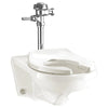 [2257001.020] Afwall 1.1-1.6 gpf Universal Flushometer Toilet - White