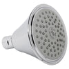 [M953579-0020A] Triumph Shower Head - Polished Chrome