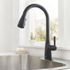 [7617300.243] Hillsdale Single-Handle Pull-Down Dual Spray Kitchen Faucet - Matte Black