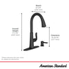 [7035300.075] Northport® One-Handle Pull-Down Kitchen Faucet With Soap Dispenser - Stainless Steel
