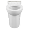 [3075110.020] Clean Concealed Trapway Elongated Toilet Bowl - White