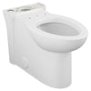 [3075110.020] Clean Concealed Trapway Elongated Toilet Bowl - White