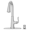 [7035300.075] Northport® One-Handle Pull-Down Kitchen Faucet With Soap Dispenser - Stainless Steel