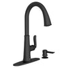 [7035300.243] Northport® One-Handle Pull-Down Kitchen Faucet With Soap Dispenser - Stainless Steel