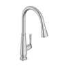 [7438301.075] Palestra Single-Handle Pull-Down Dual Spray Kitchen Faucet 1.8 GPM/6.8 L/min - Stainless Steel