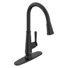 [7438301.243] Palestra Single-Handle Pull-Down Dual Spray Kitchen Faucet 1.8 GPM/6.8 L/min - Stainless Steel