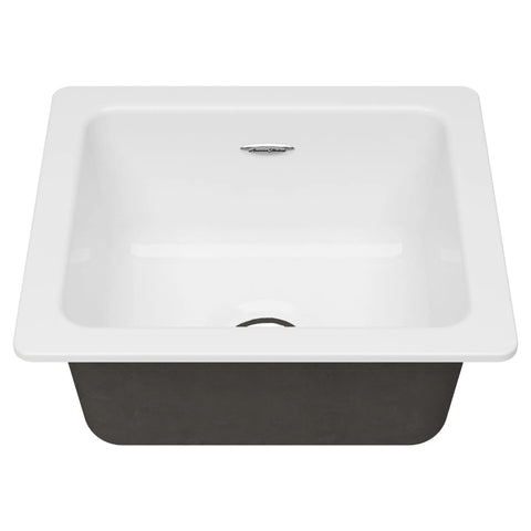 Delancey 18 x 16-Inch Cast Iron Undermount Single-Bowl Kitchen Sink