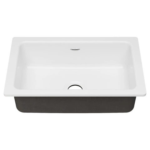 Delancey 30 x 19-Inch Cast Iron Undermount Single-Bowl Kitchen Sink