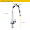 [4931300.002] Beale® Single-Handle Pull-Down Dual Spray Kitchen Faucet 1.5 gpm/5.7 L/min - Polished Chrome