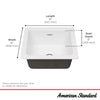 [77SB16180.308] Delancey 18 x 16-Inch Cast Iron Undermount Single-Bowl Kitchen Sink - Brilliant White