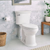 [717AA101S.020] Esteem VorMax Two-Piece 1.28 gpf/4.8 Lpf Chair Height Elongated Toilet less Seat - White